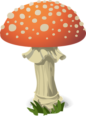 A fungus